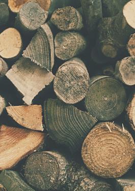 Drvna industrija - certifikacija